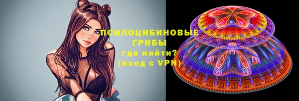 крисы Дмитриев
