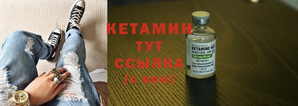 крисы Дмитриев
