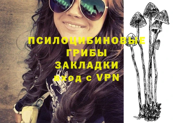 крисы Дмитриев