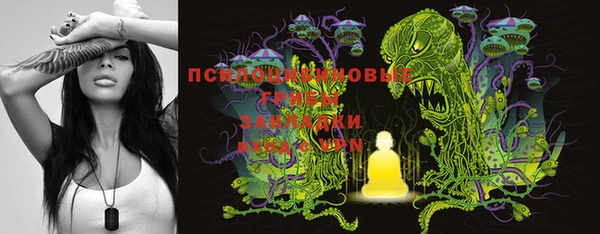 бошки Дмитров