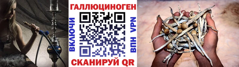 кракен сайт  Рузаевка  Галлюциногенные грибы Magic Shrooms 