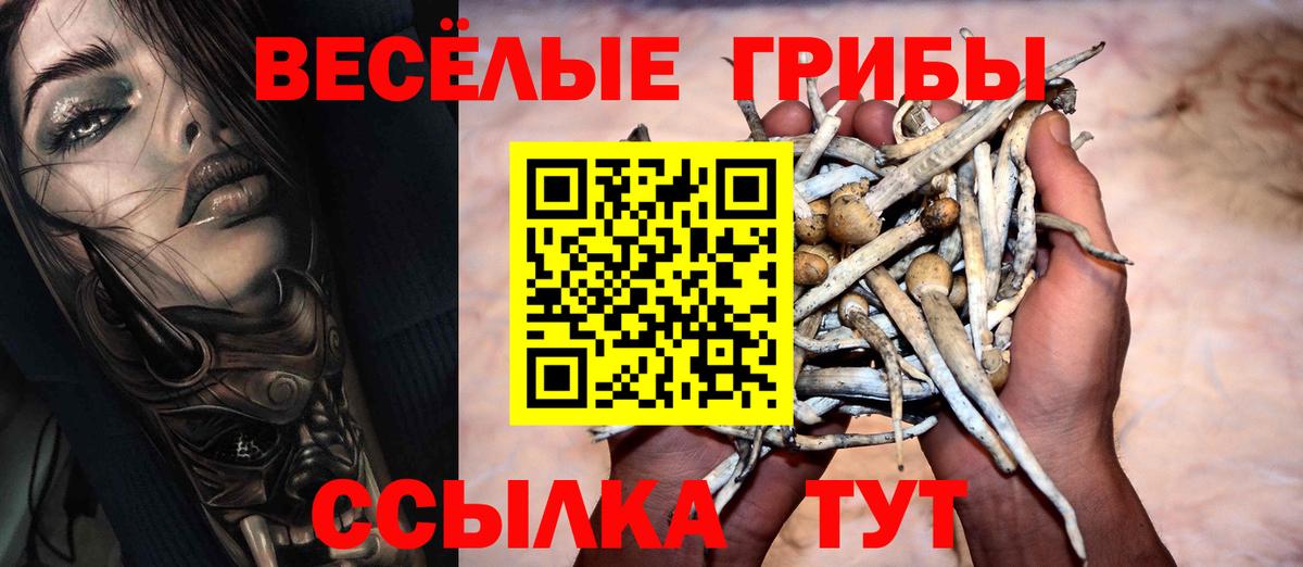 Псилоцибиновые грибы мицелий  Вход с VPN  Псилоцибиновые грибы Magic Shrooms  Рузаевка 