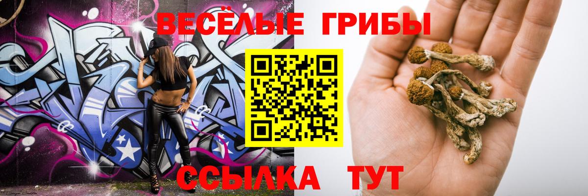 Галлюциногенные грибы Psilocybe Рузаевка